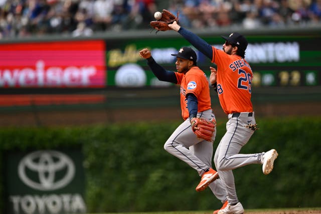 ASTROS-CACHORROS