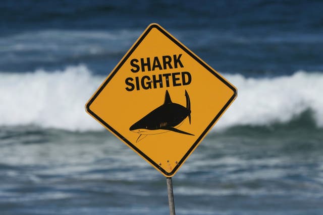 AUSTRALIA-ATAQUE DE TIBURÓN