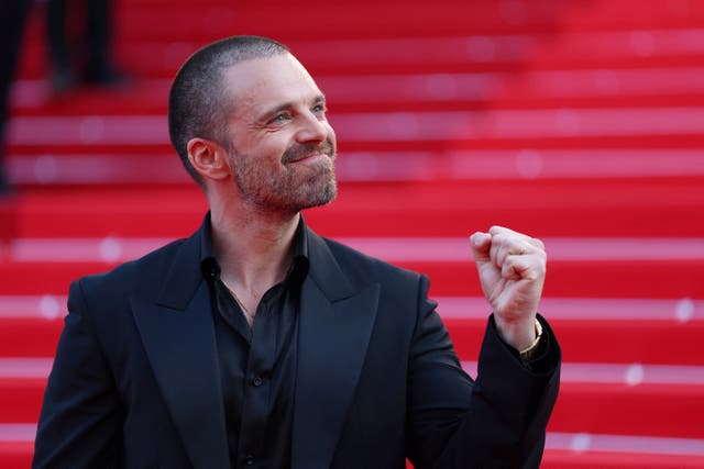 <p>Sebastian Stan en el 79.º Festival de Cine de Cannes</p>
