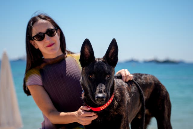 CANNES-PALM DOG