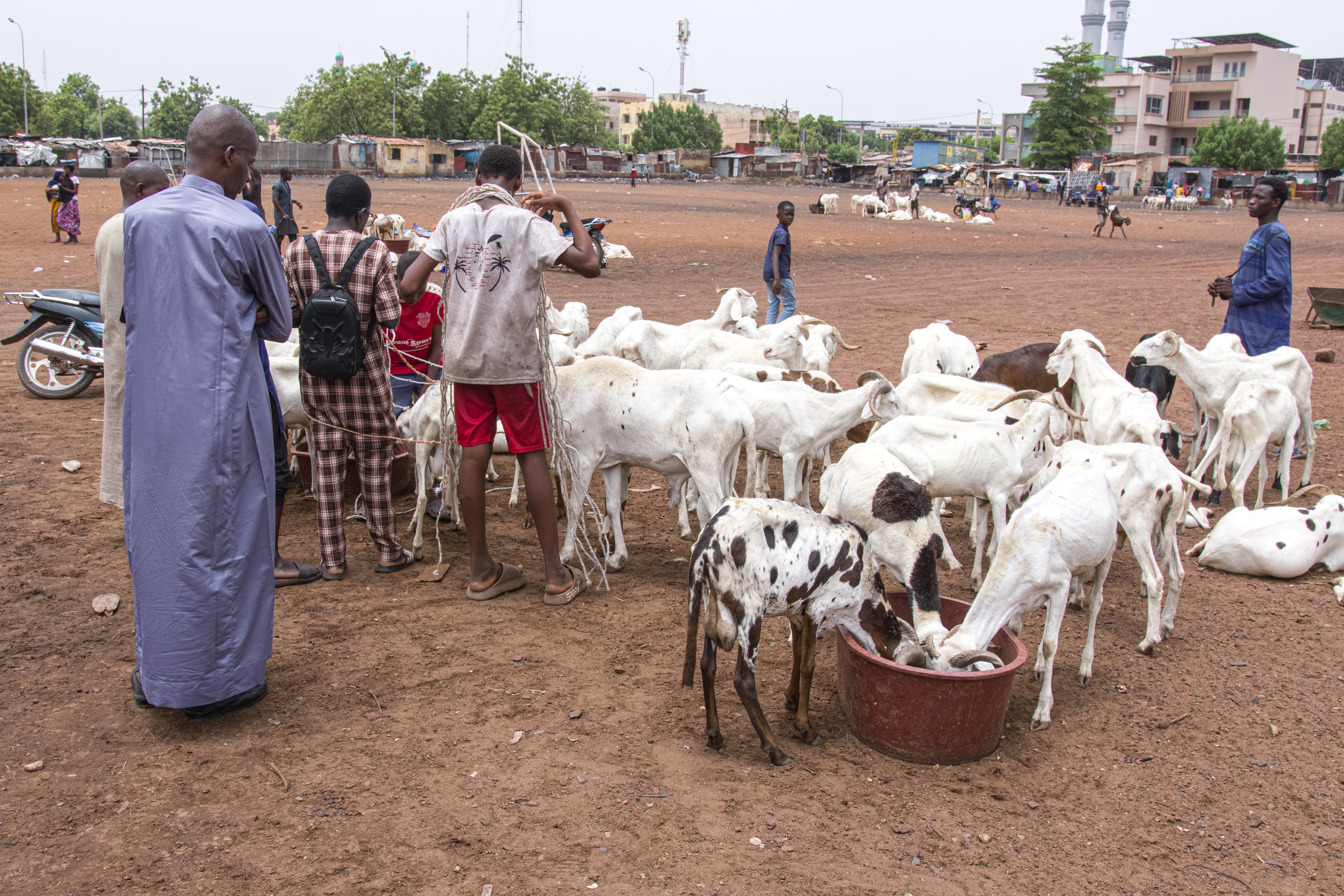 AFR-GEN MALI-EID AL ADHA