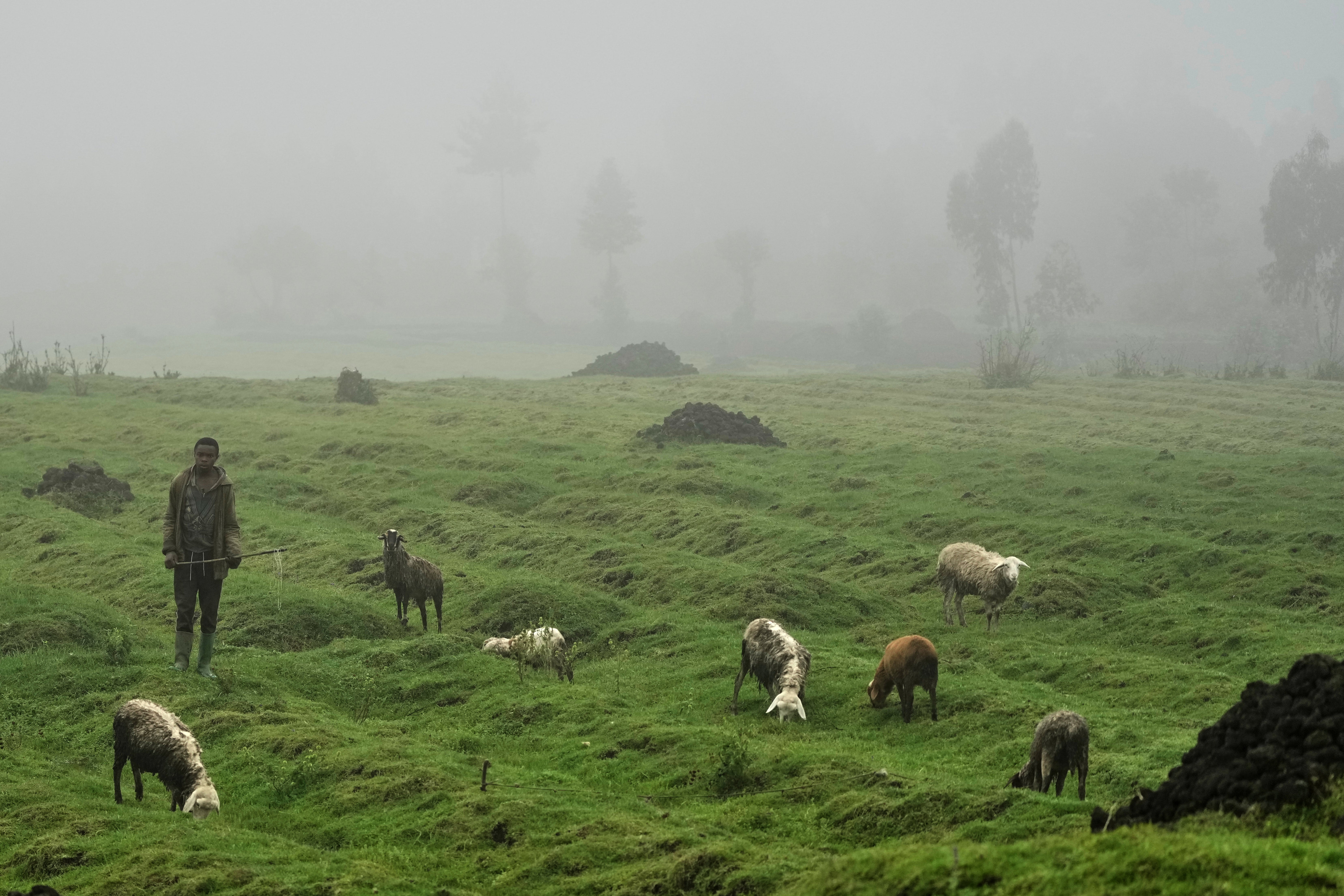 RUANDA-ADN AMBIENTAL