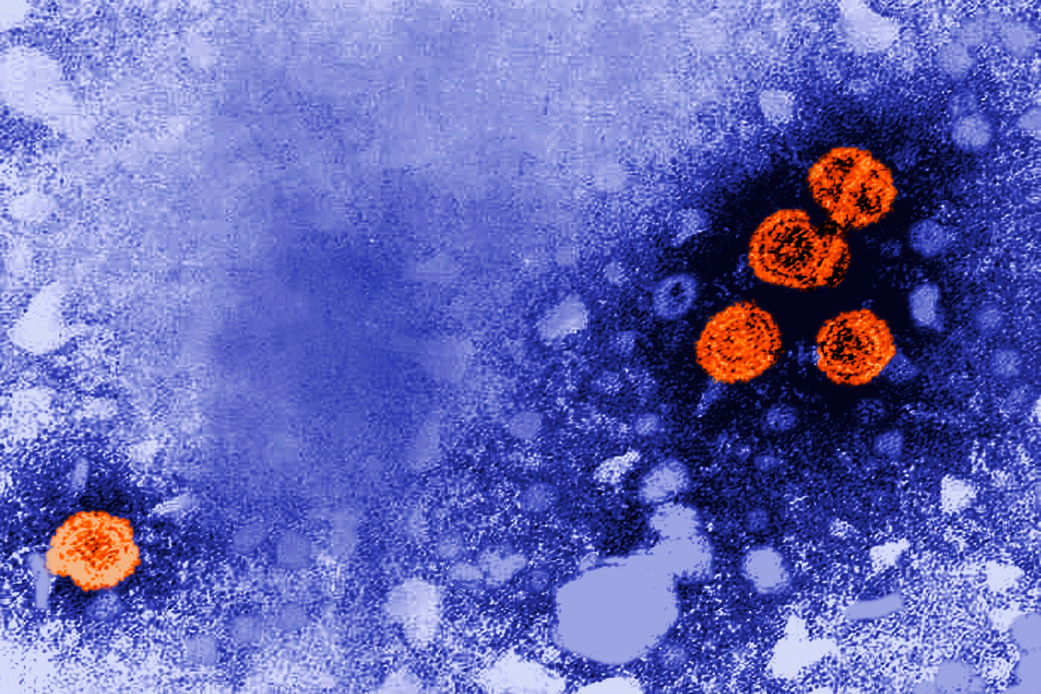 HEPATITIS B-TRATAMIENTO