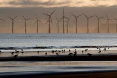 Reino Unido fija meta de recortar 87% emisiones de carbono para 2042