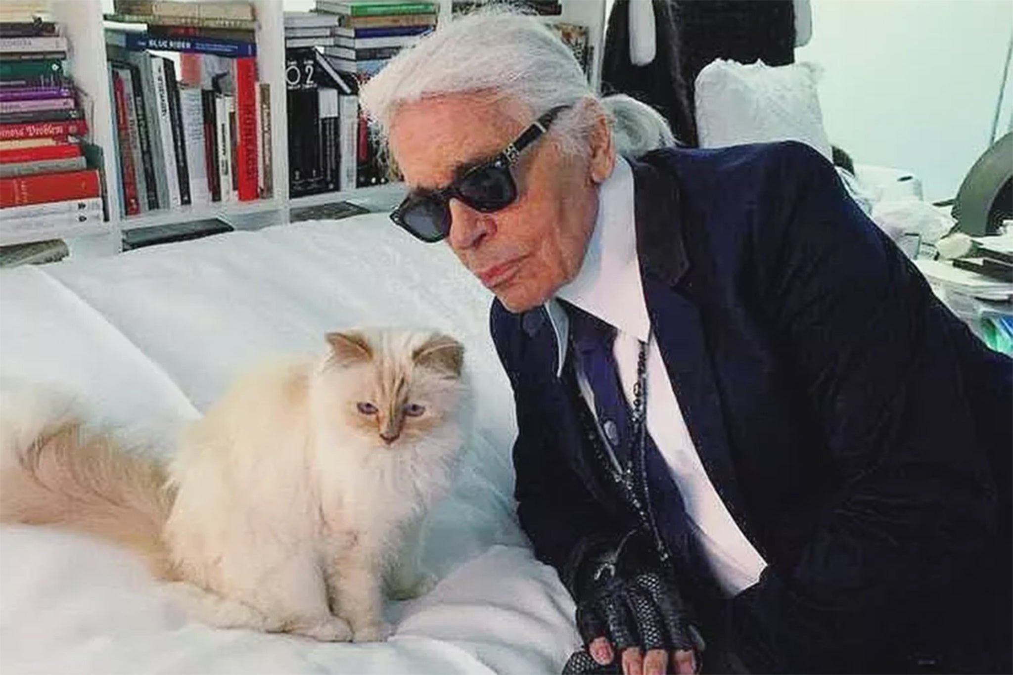 La querida gata de Karl Lagerfeld, Choupette, sigue esperando la herencia
