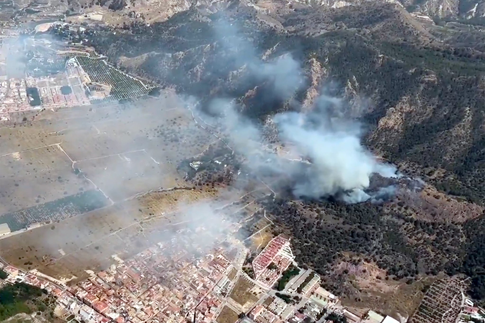 Tomas aéreas revelan grandes extensiones de bosque arrasado por el fuego