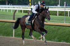 Golden Tempo, ganador del Derbi de Kentucky, enfrenta un reto de ritmo en Belmont Stakes