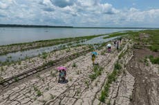 Elecciones en Colombia podrían afectar el futuro de la Amazonía y los hidrocarburos