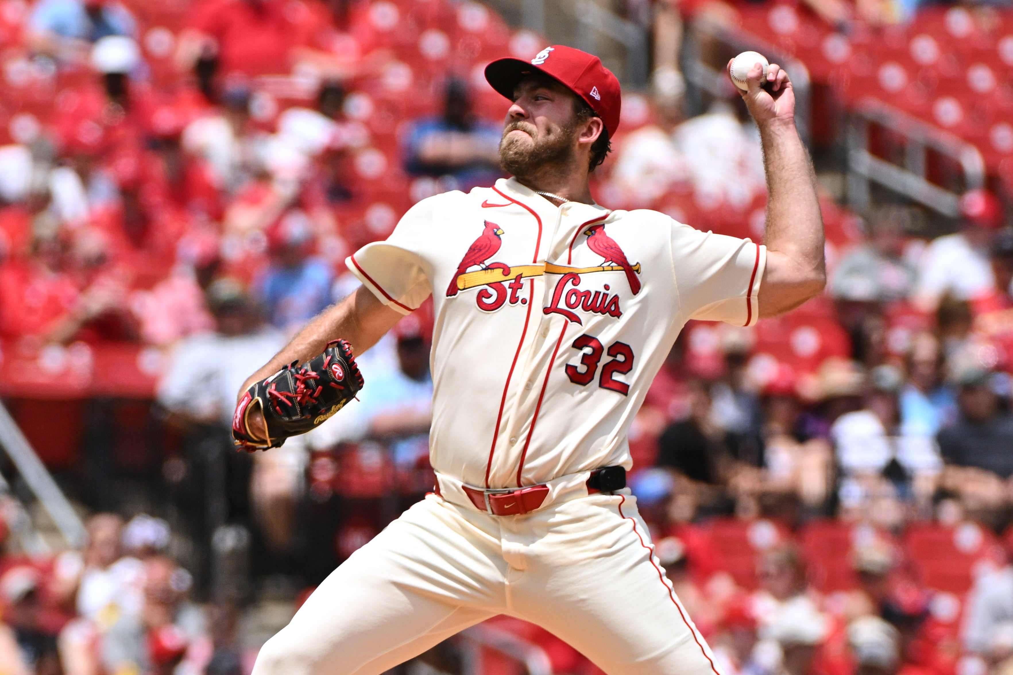 ROJOS CARDENALES