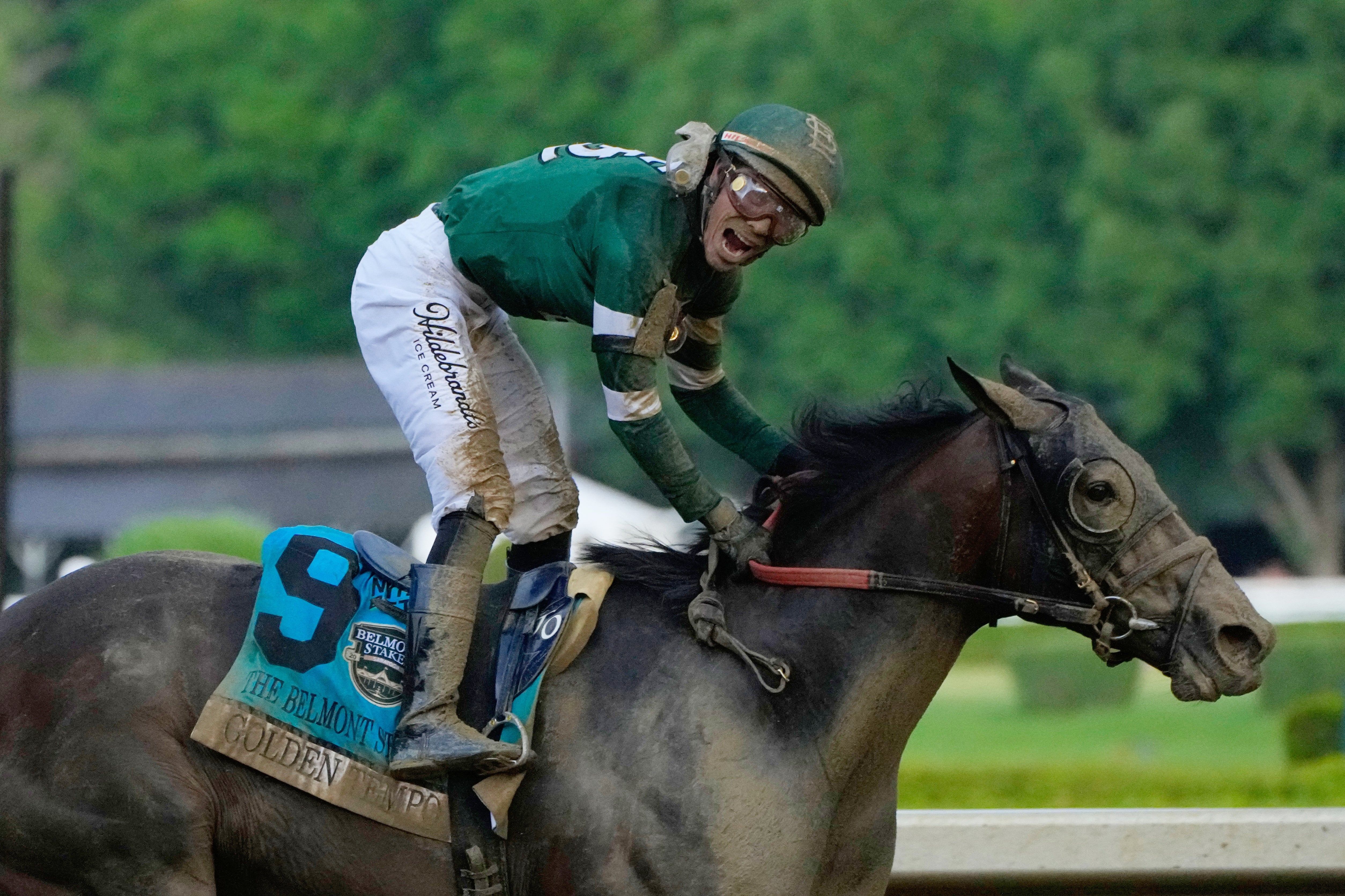 BELMONT STAKES
