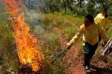 En la región Cerrado de Brasil, prácticas indígenas transforman la estrategia contra incendios