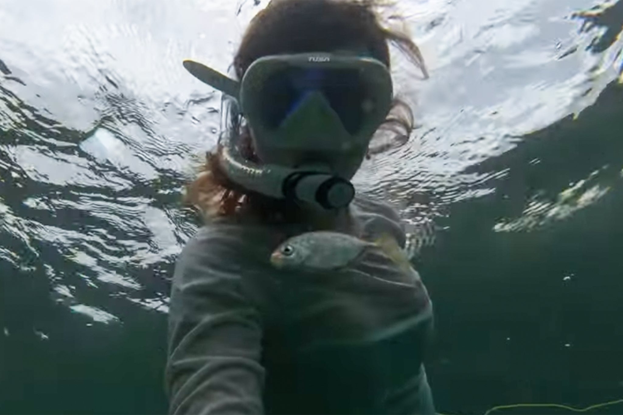 Kellie Melinda Williams publicaba con frecuencia sobre sus actividades de snorkel en redes sociales