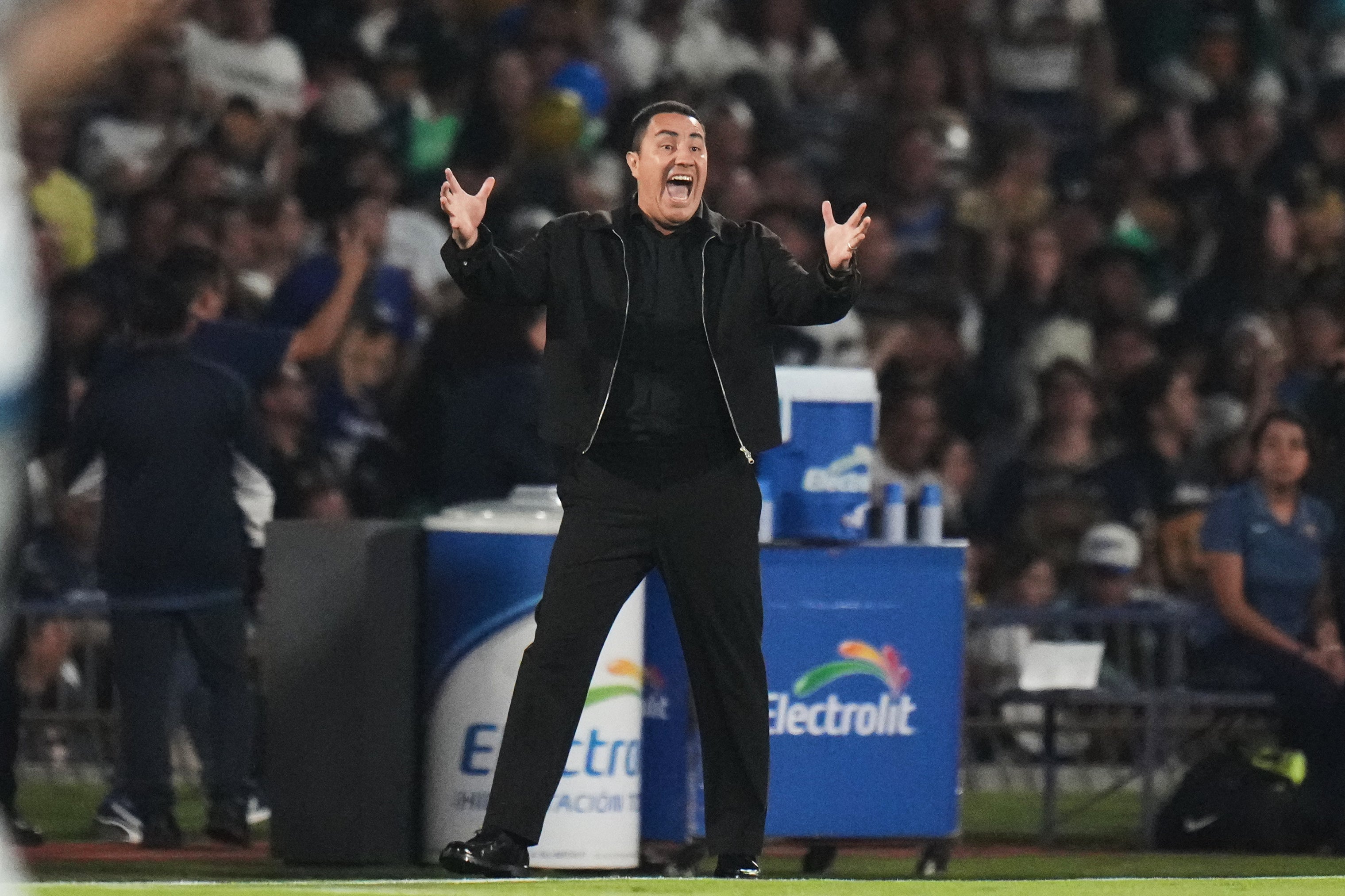 MÉXICO-PUMAS