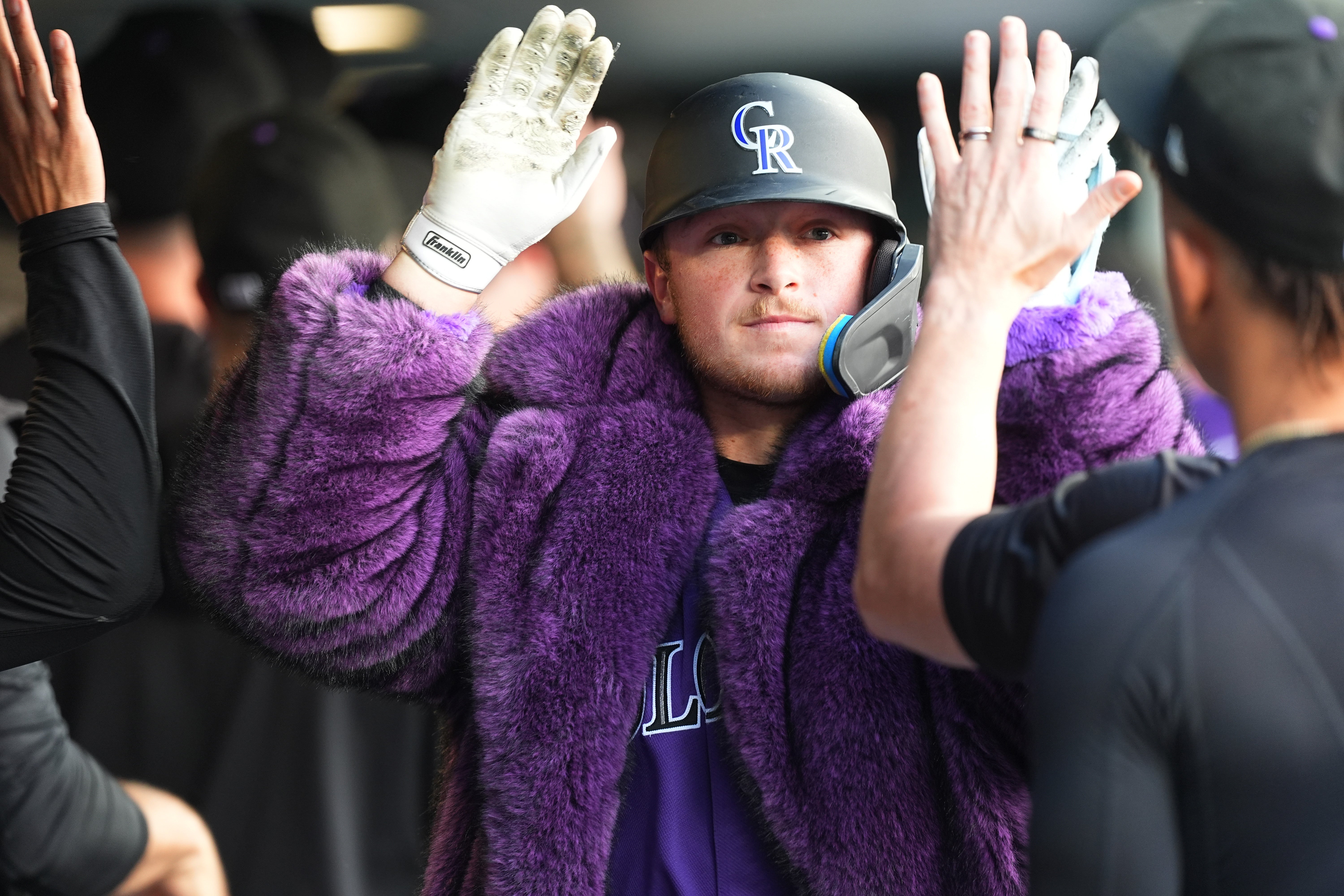 CACHORROS ROCKIES
