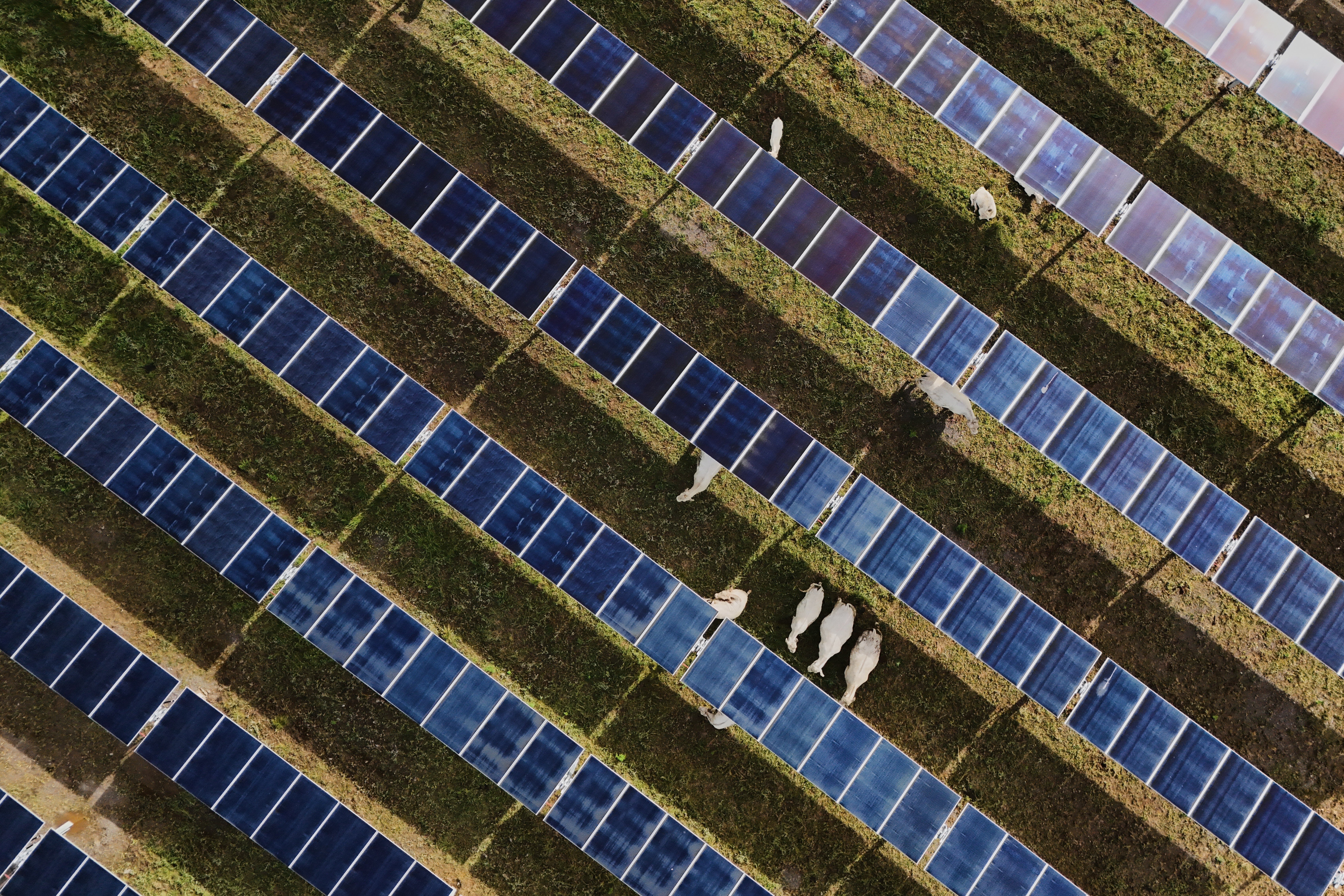 EEUU-SOLAR-CARBÓN