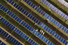 La energía solar alcanza nuevos hitos en EEUU mientras Trump prioriza el carbón a las renovables