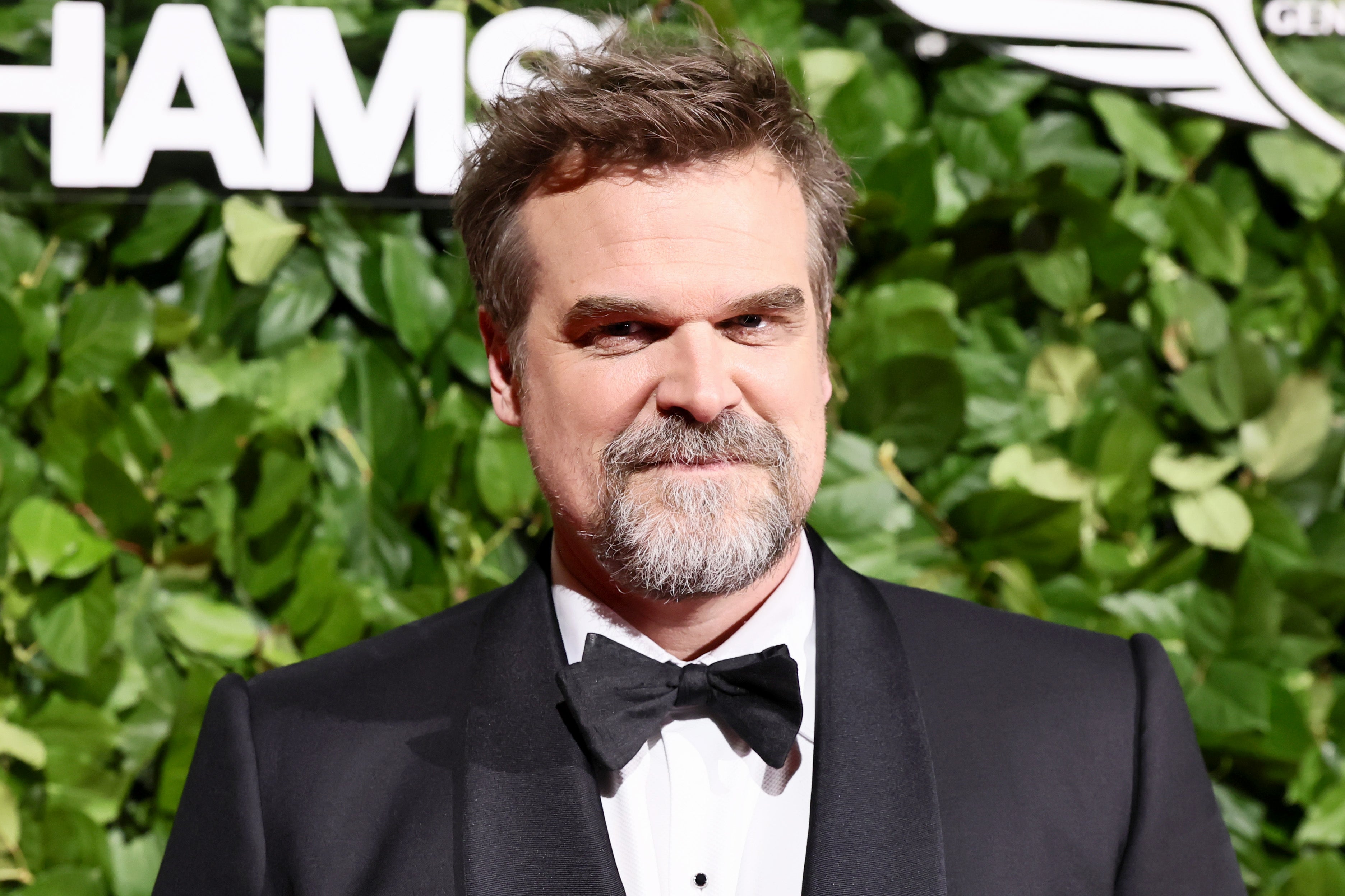 David Harbour calificó de “raro” el álbum ‘West End Girl’ de su exesposa Lily Allen