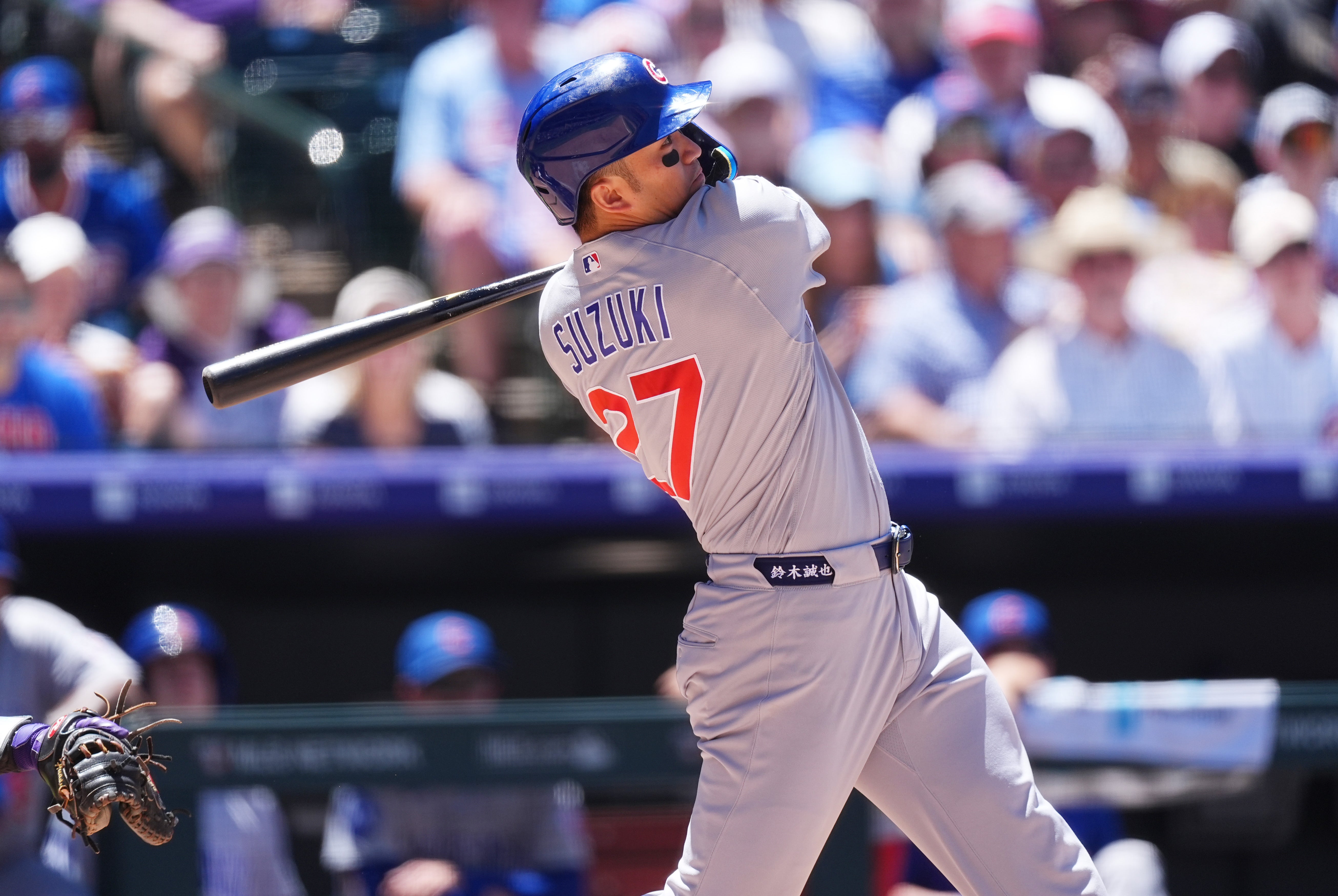 CACHORROS ROCKIES