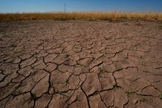 El Niño ya está aquí y los científicos temen que será enorme, devastador y costoso