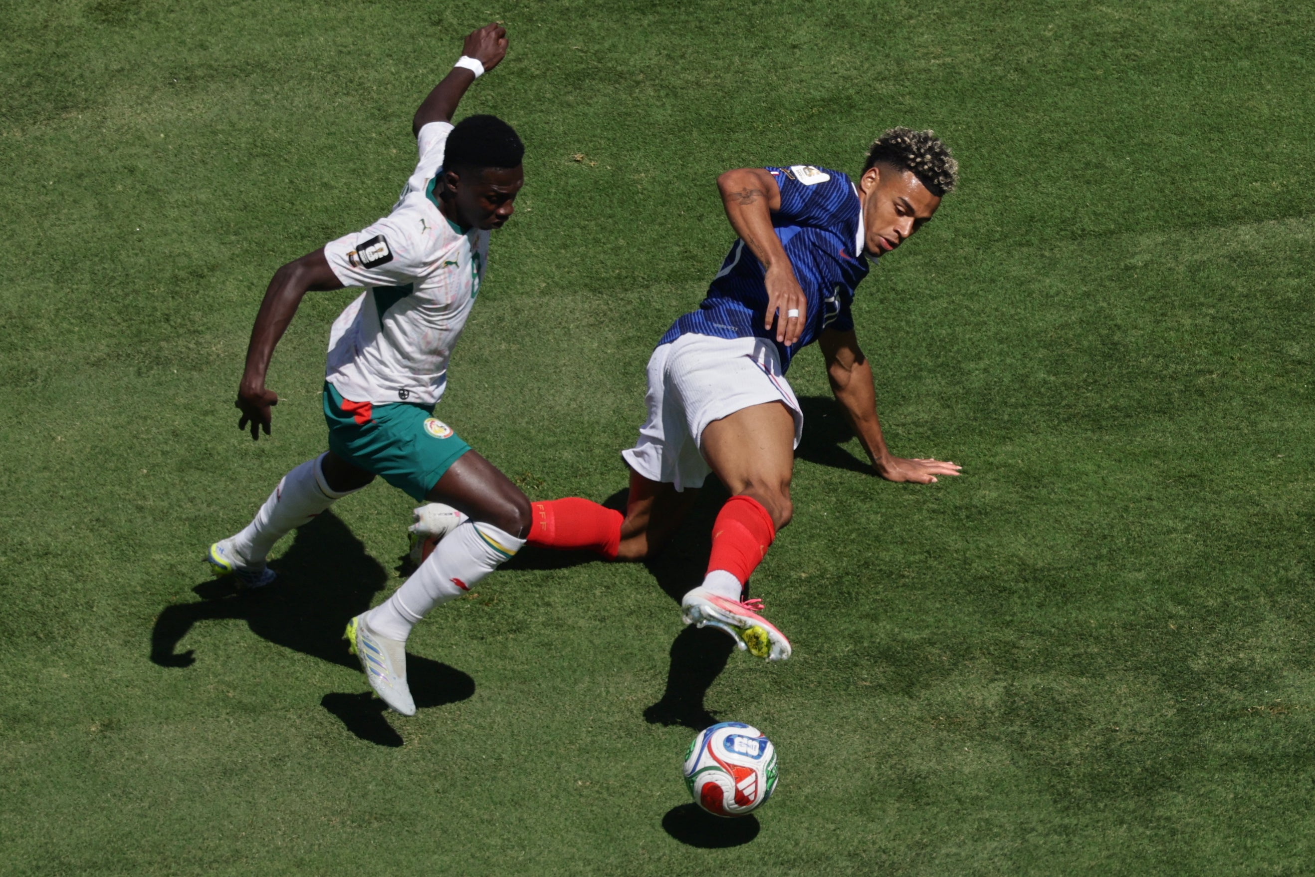 MUNDIAL FRANCIA-SENEGAL