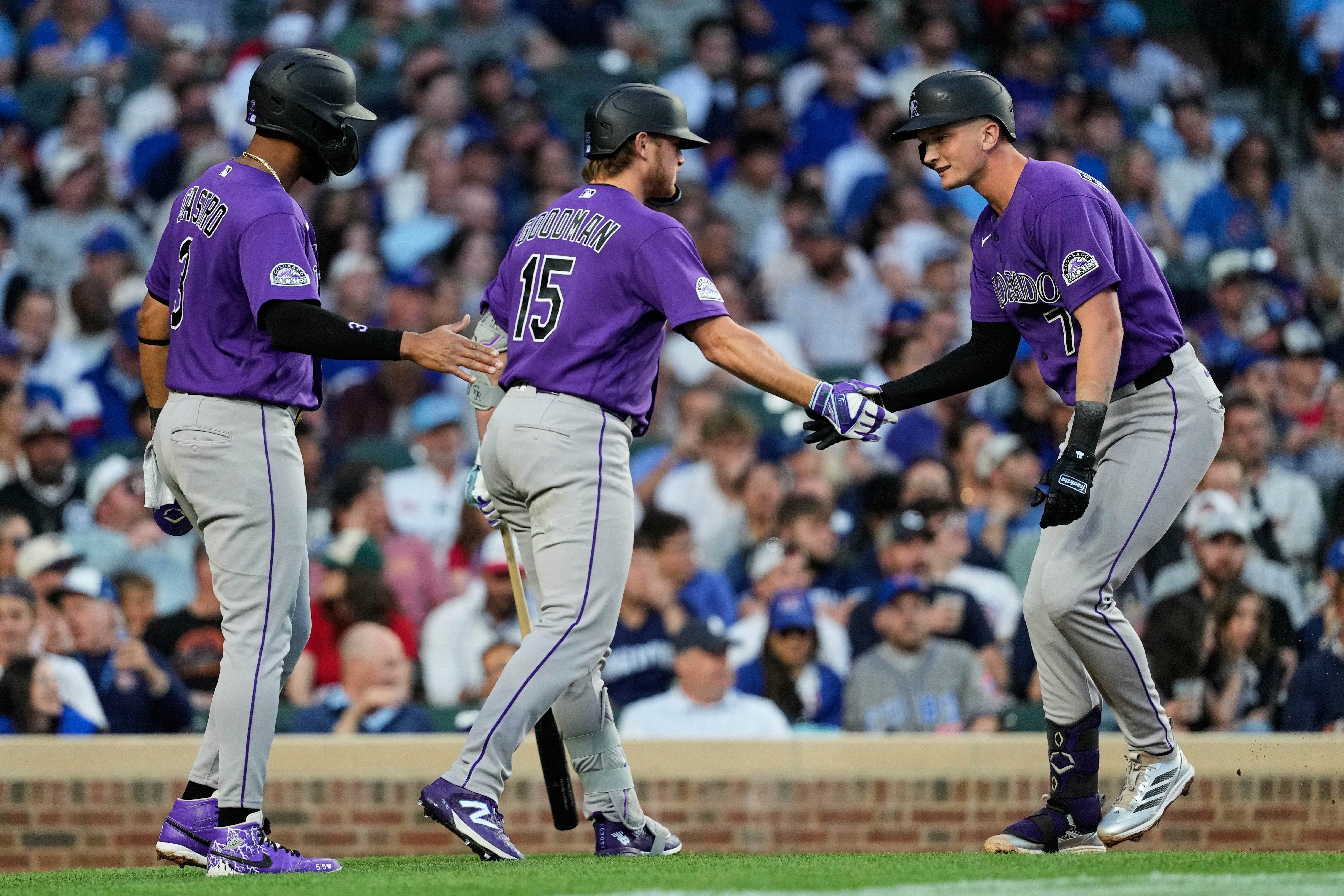 ROCKIES-CACHORROS