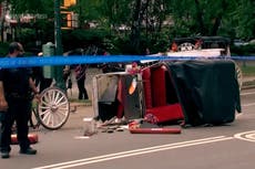 Autoridades de NY buscan acabar con carruajes de caballos tras muerte de adolescente