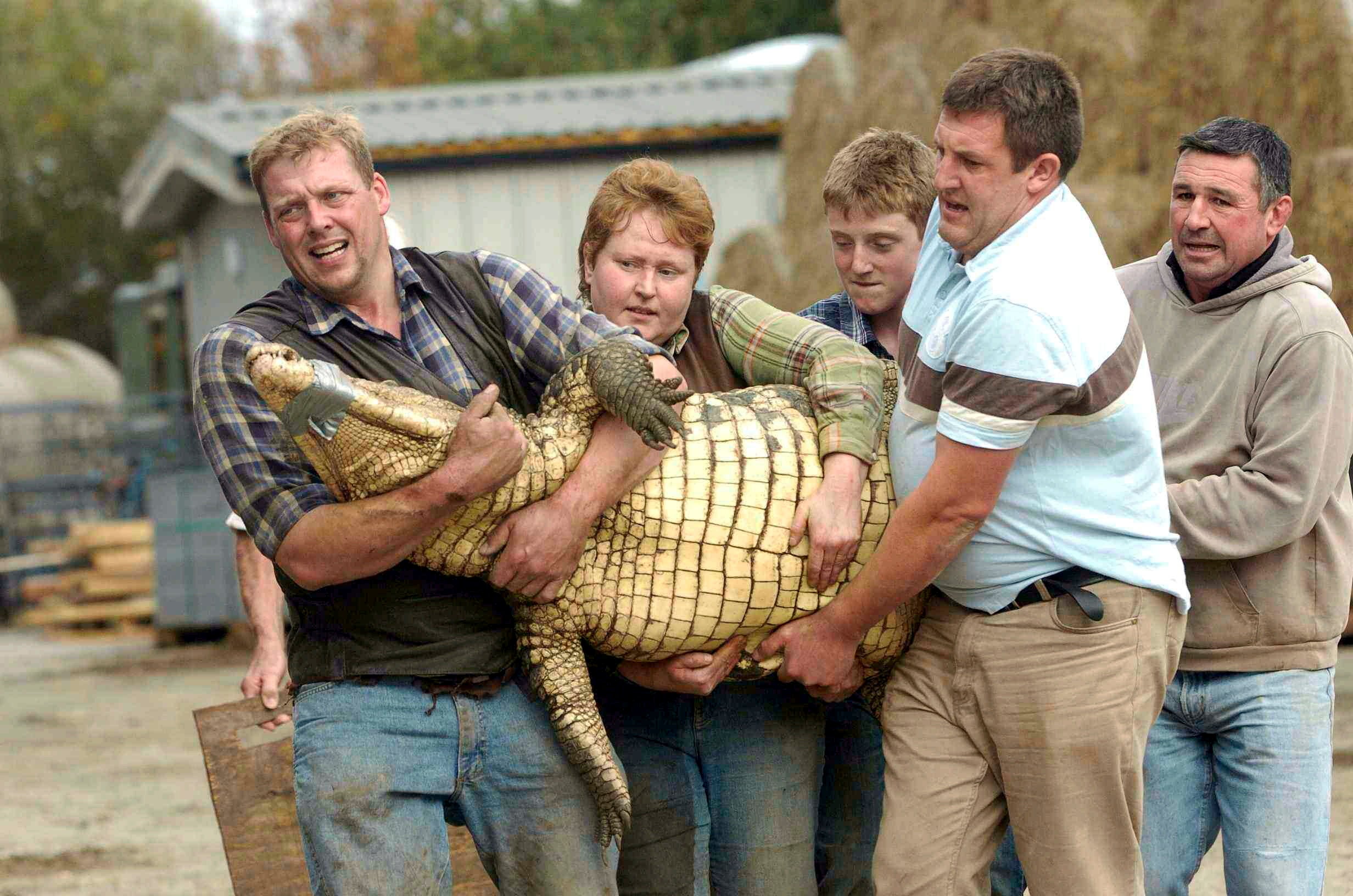 <p>Agentes de policía en el zoológico Johnson’s of Old Hurst, en Huntingdonshire, tras el incidente  </p>