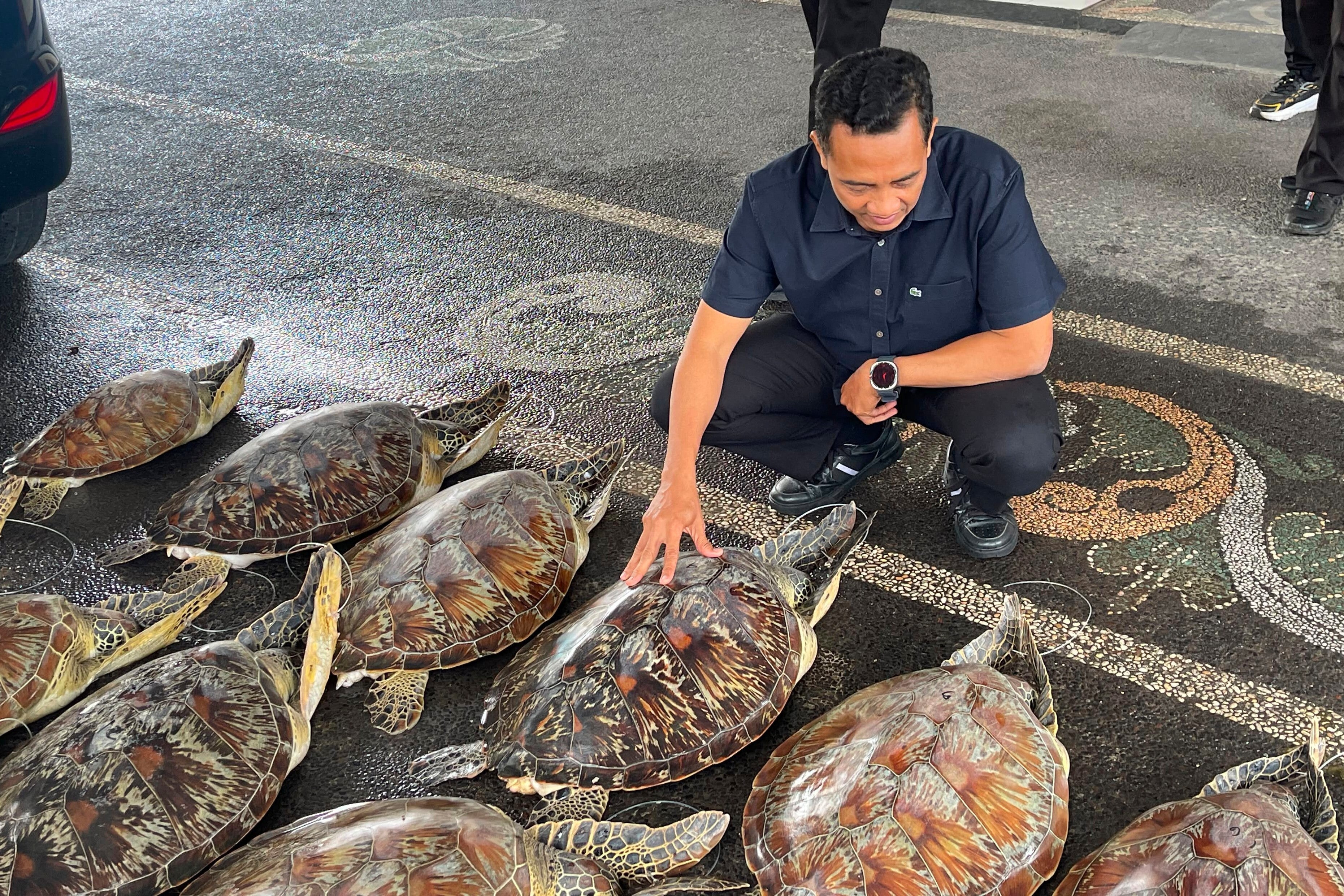 INDONESIA-TRÁFICO DE ANIMALES