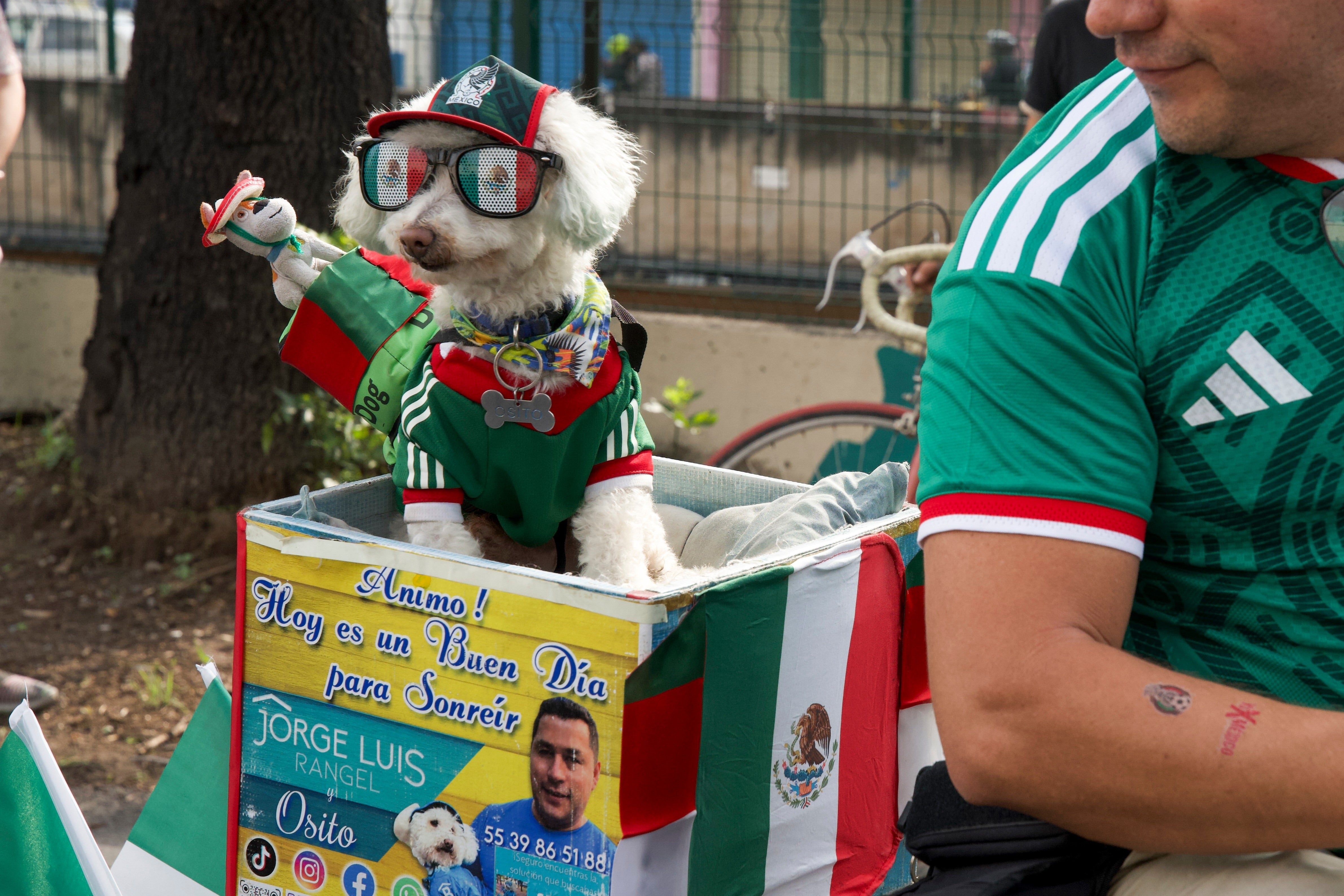 MUNDIAL OSITO
