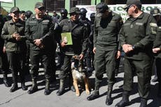 Rex, de perro vagabundo a oficial de la policía de Bolivia