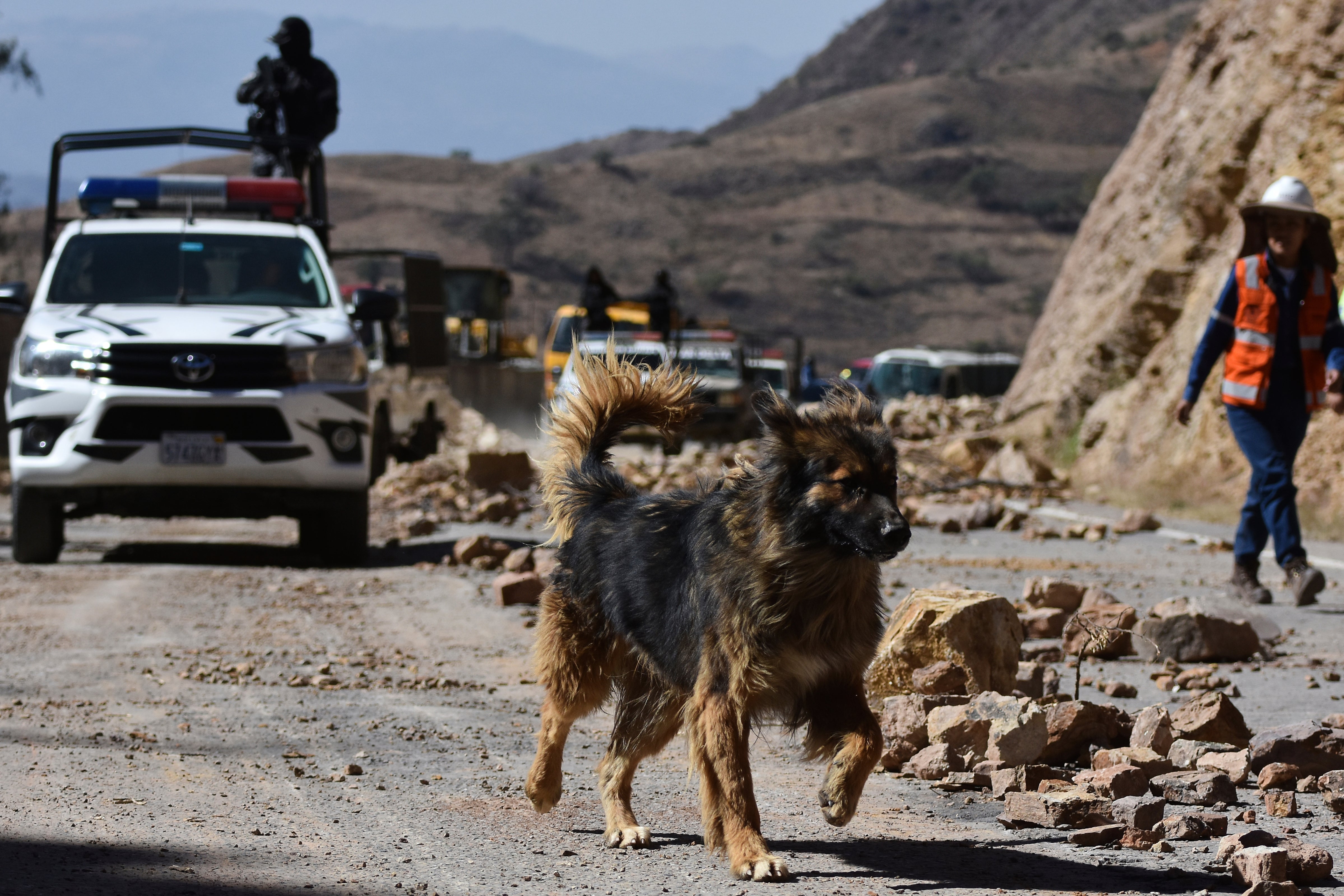 BOLIVIA-PERRO POLICÍA