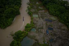 Elección en Colombia podría redefinir el futuro de Amazonía ante el giro político en América Latina