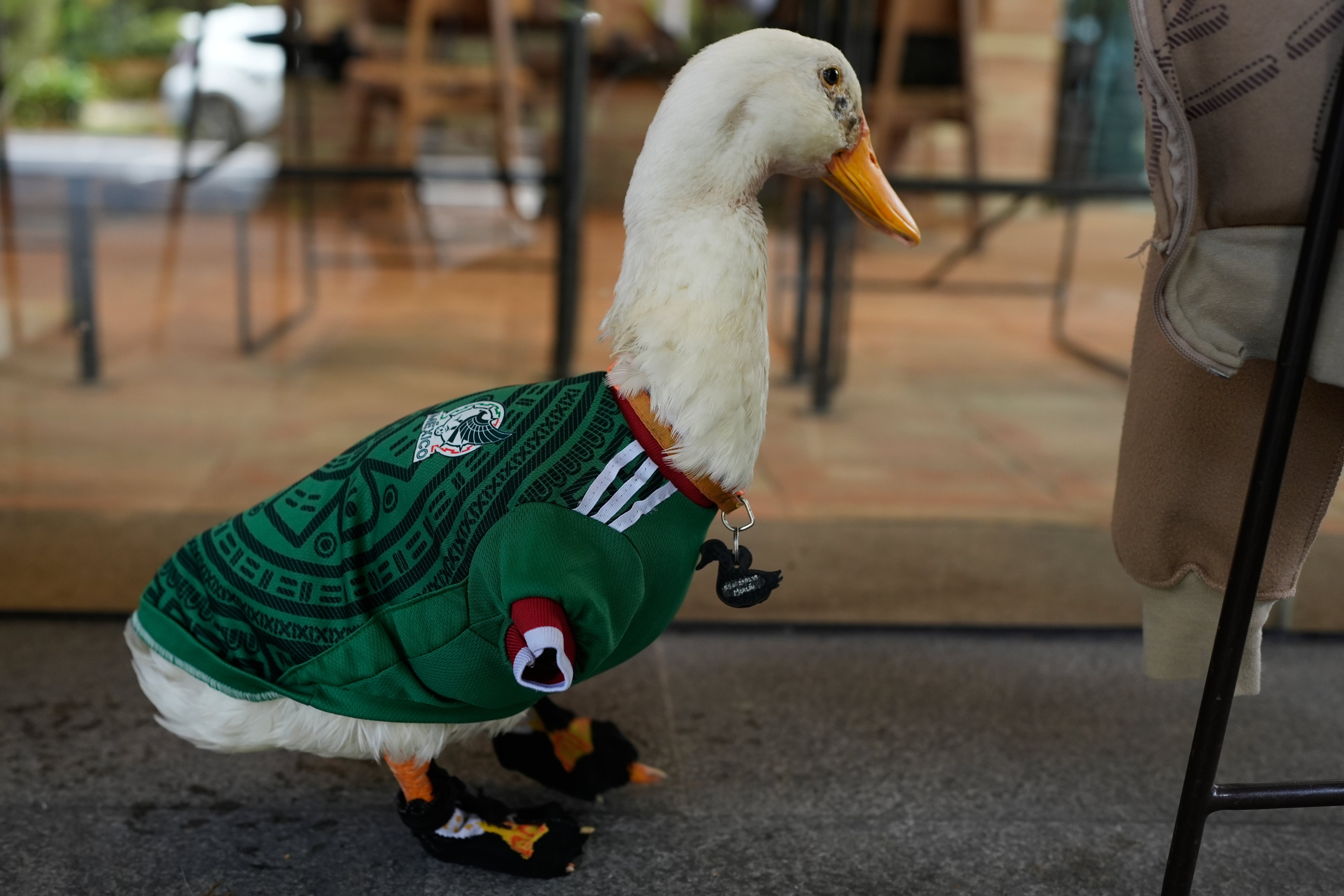 MUNDIAL MÉXICO MASCOTA