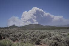 Utah declara estado de emergencia y restringe fuegos artificiales mientras crece incendio forestal