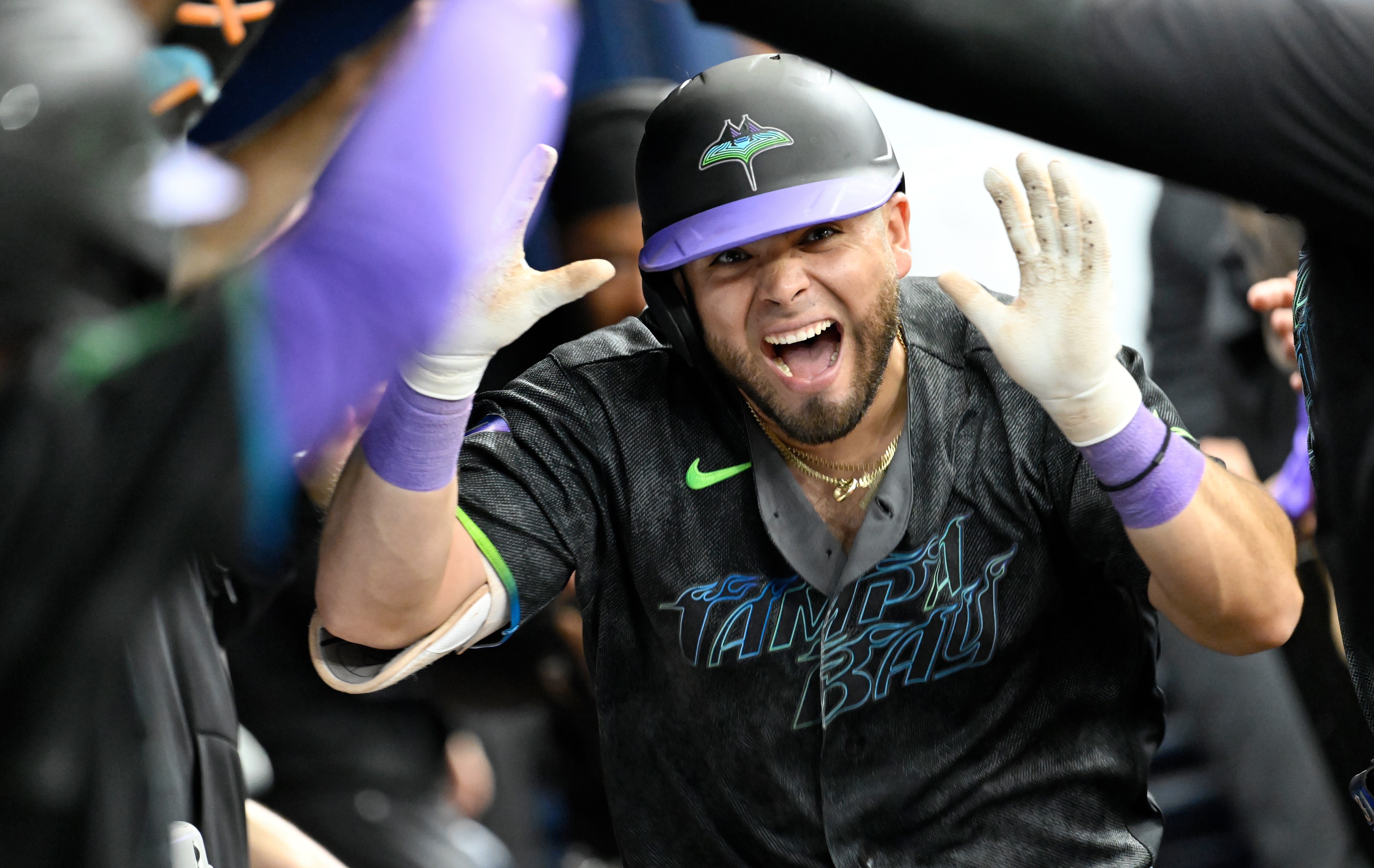 DIAMONDBACKS-RAYS