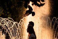 Francia registra unas 1.000 muertes adicionales en ola de calor extrema que bate récords en Europa