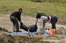 En “escena terrorífica”, hallan al menos 117 perros muertos en refugio de animales en California