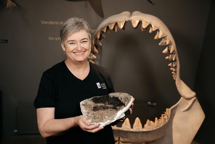 La paleontóloga Mette Elstrup exhibe una vértebra fosilizada de Otodus megalodon , un hallazgo clave para estudiar el tamaño de este tiburón prehistórico