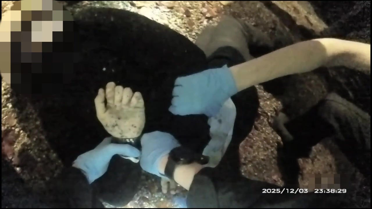 Caso Henry Nowak: investigador habla del “horror más inimaginable”