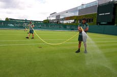 Wimbledon mantuvo su césped verde mientras otros céspedes de Londres se secaban por calor récord