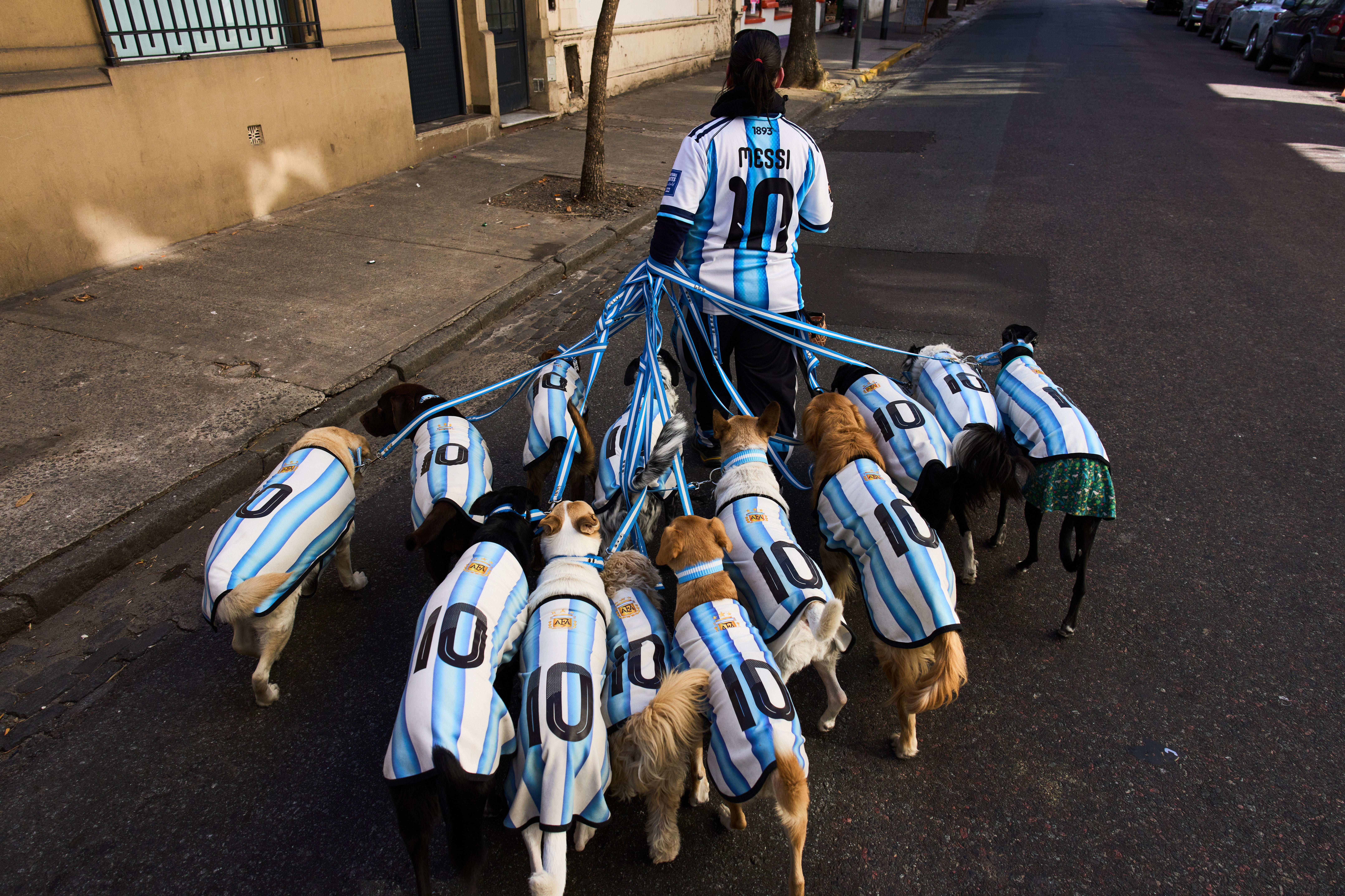 MUNDIAL-ARGENTINA-PERROS HINCHAS