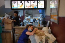 Sobrevivientes de sismos en Venezuela buscan mascotas perdidas en McDonald's