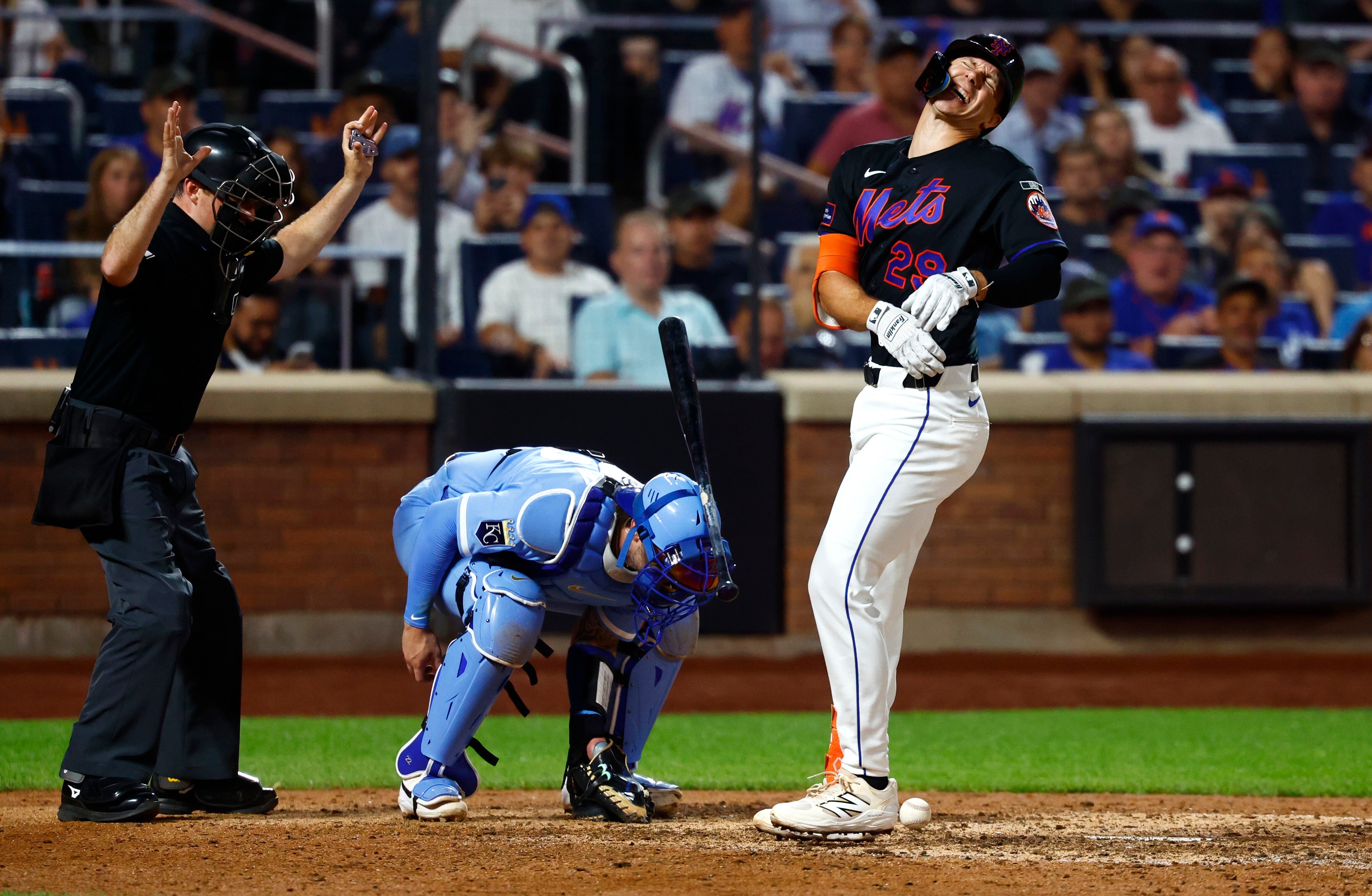 REALES-METS