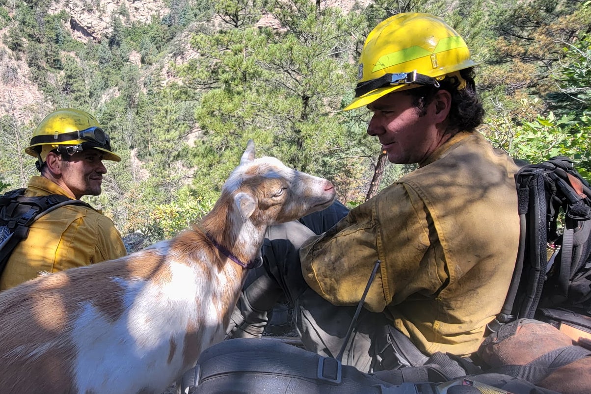 COLORADO-BOMBEROS-CABRA