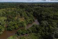 Ministra saliente de Colombia advierte que nuevo gobierno amenaza avances climáticos