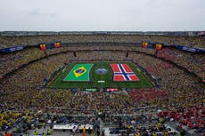 FIFA vende el césped de la final del Mundial, en trozos de 450 dólares