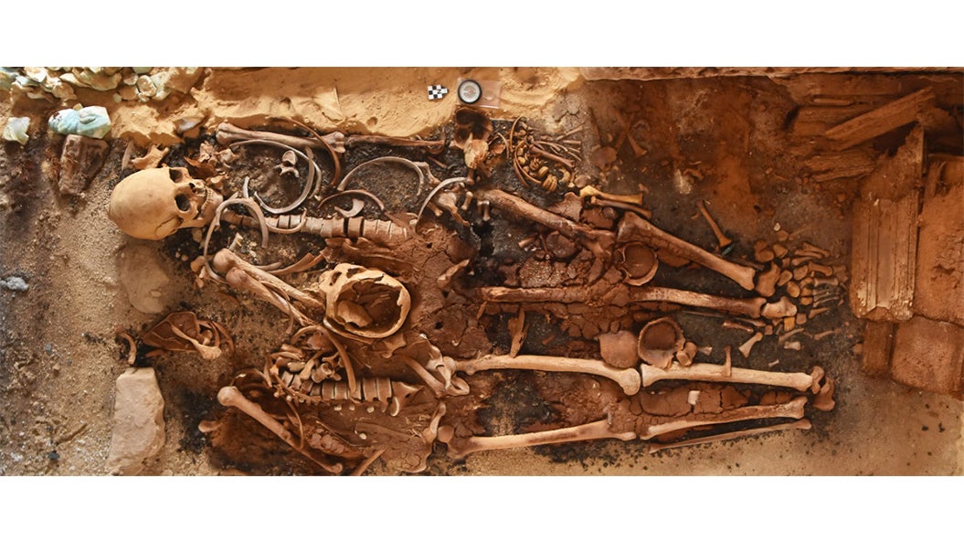 Se desenterraron esqueletos humanos en un cementerio situado en la costa mediterránea de Egipto
