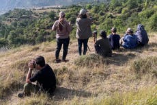 Guerra y crisis económica complican esfuerzos para proteger fauna silvestre de Irán