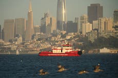Un muerto y 3 desaparecidos tras un naufragio en una travesía familiar cerca de Alcatraz