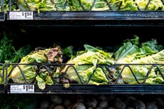 Brote de ciclosporosis: ¿deberías dejar las verduras si estás en EE. UU.?